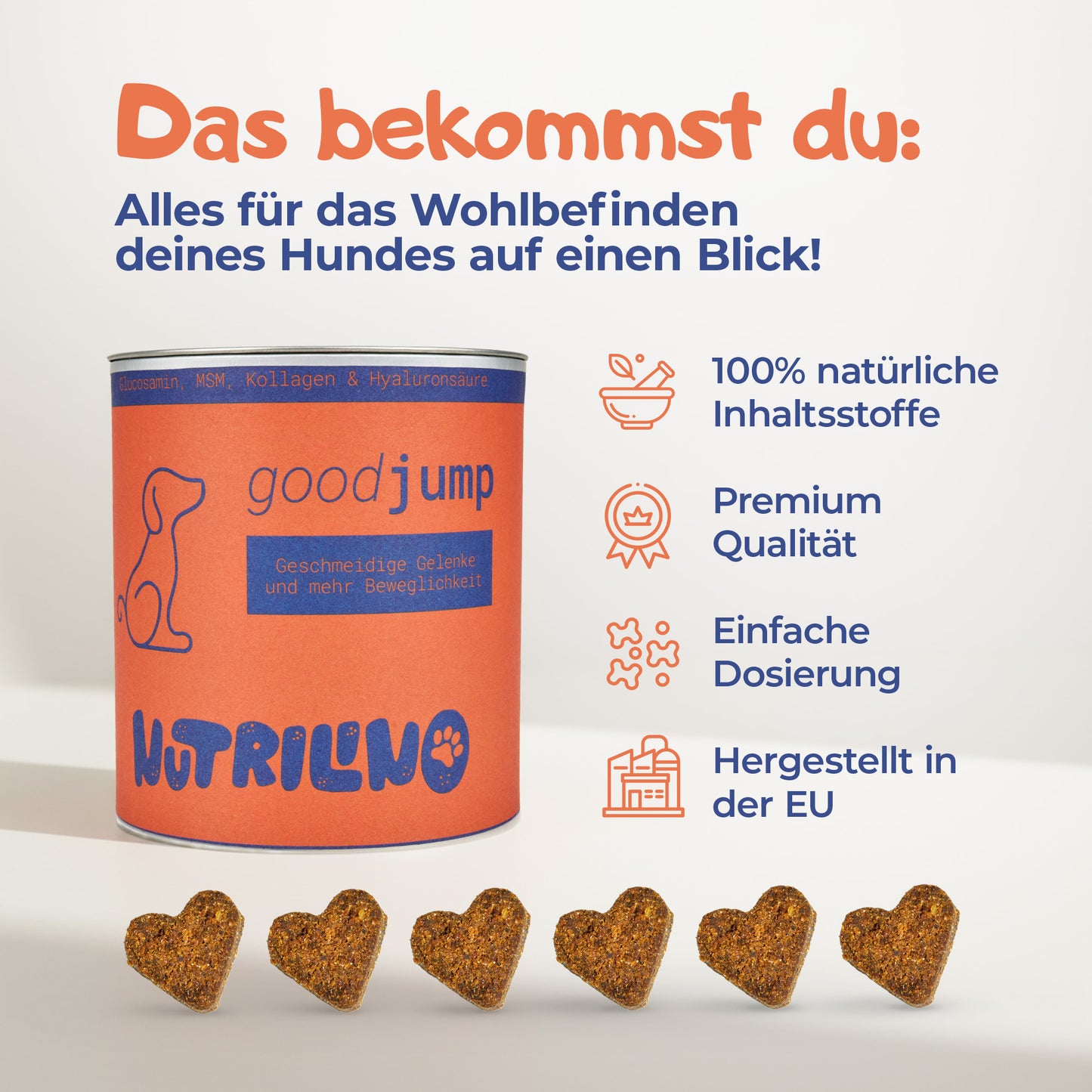 Nutrilino GoodJump Hundesnacks für Gelenke und Beweglichkeit. 300 g Dose mit ca. 100 Snacks. Ergänzungsfuttermittel für Hunde mit Glucosamin, MSM, Kollagen und Hyaluronsäure. Natürliche Unterstützung für Gelenke, Knorpel, Knochen und Mobilität. Hergestellt in der EU.