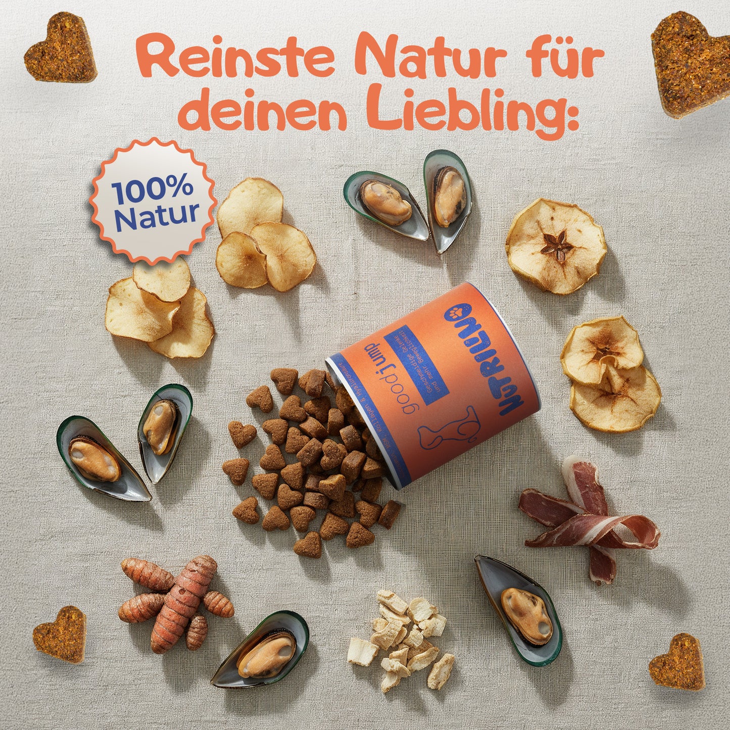 Nutrilino GoodPoo Hundesnacks für Verdauung und Darmgesundheit. Geöffnete Dose mit herzförmigen Snacks, umgeben von natürlichen Zutaten wie Apfel, Muscheln, Kurkuma und Pflanzenfasern. Ergänzungsfuttermittel für Hunde mit Inulin, Flohsamen und Zichorienwurzel zur Unterstützung einer gesunden Verdauung.