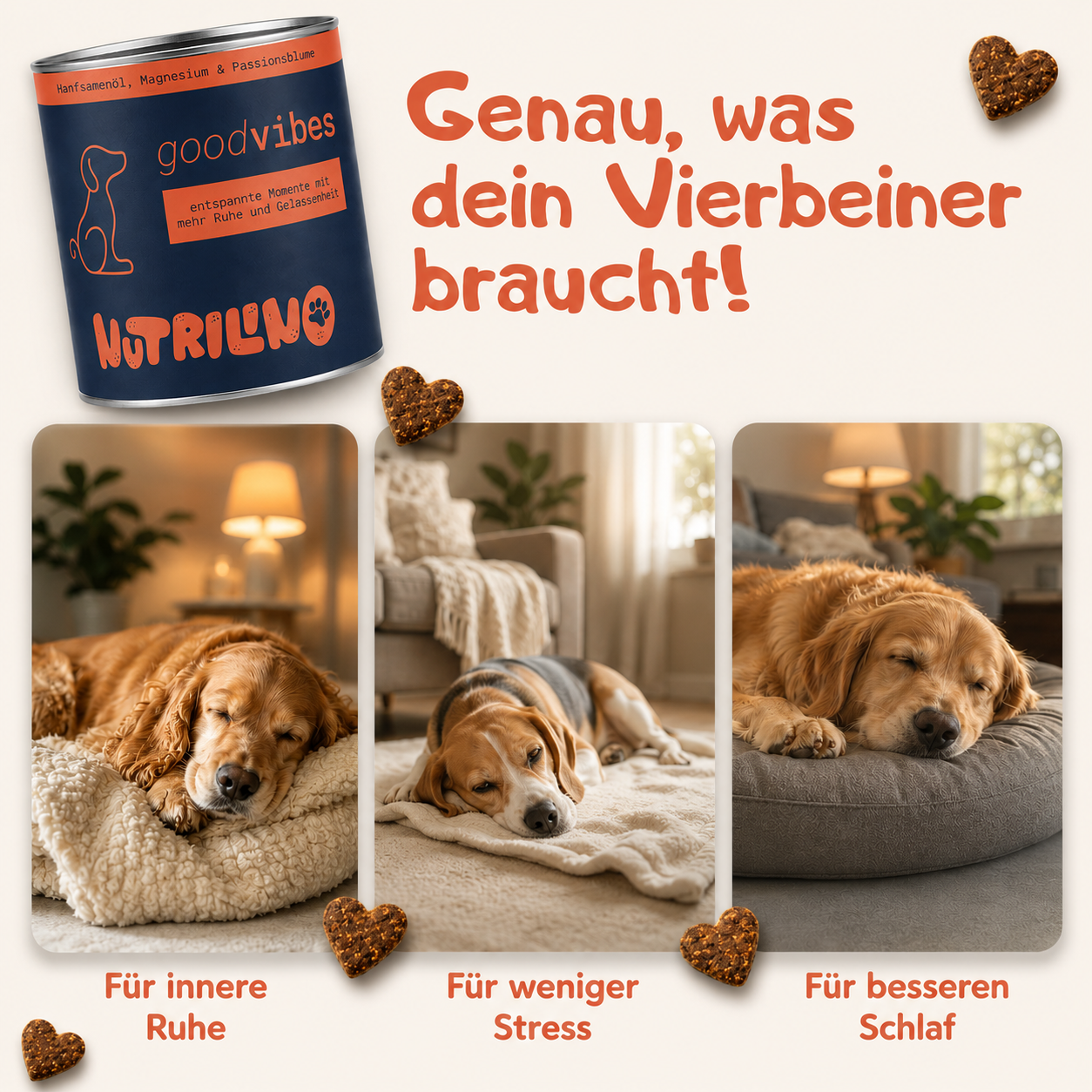 Drei entspannte Hunde schlafen – goodVibes Hunde-Snack von Nutrilino für innere Ruhe, weniger Stress und besseren Schlaf – natürliches Beruhigungsmittel für Hunde