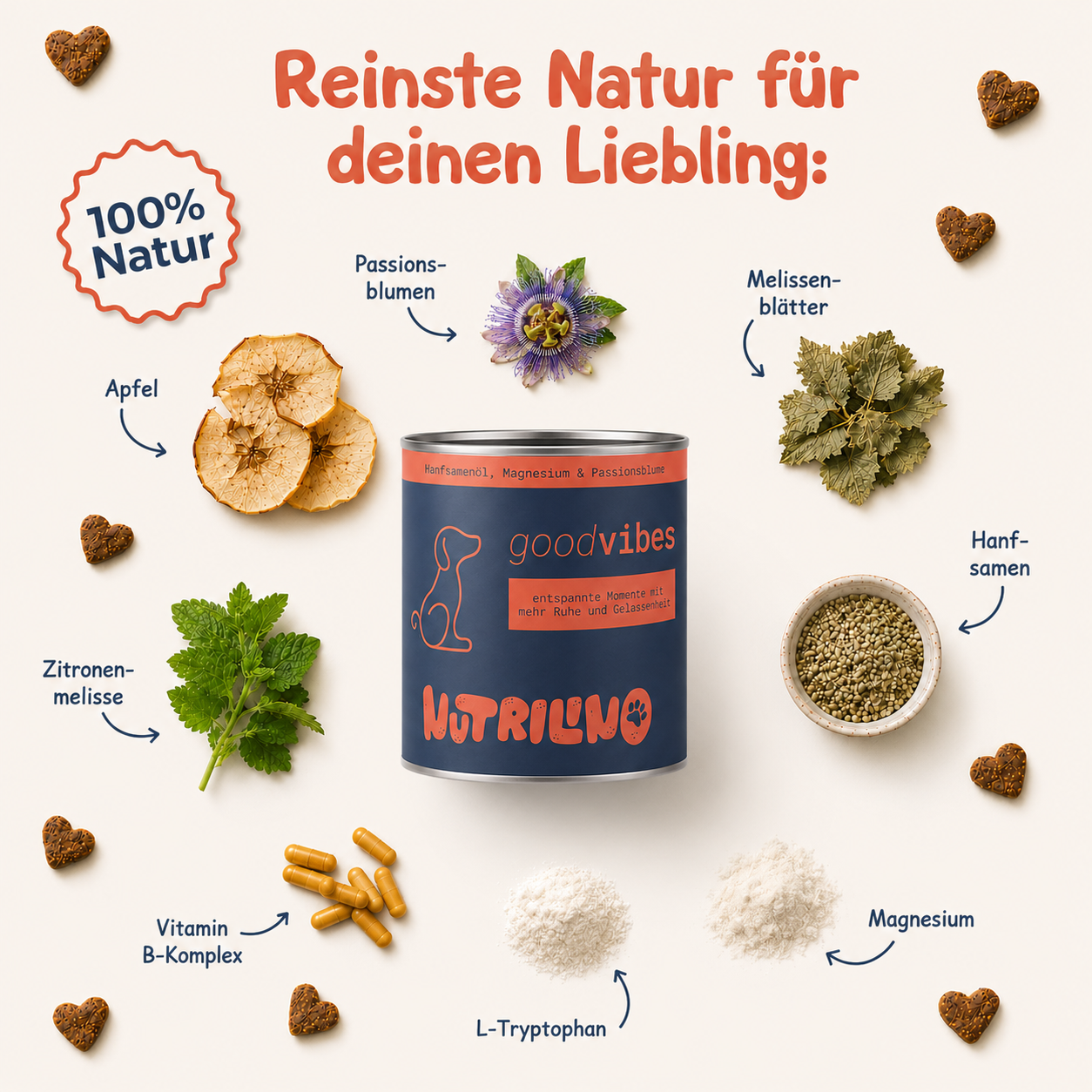 goodVibes Inhaltsstoffe Infografik – Passionsblume, Magnesium, L-Tryptophan, Hanfsamen, Melissenblätter, Zitronenmelisse, Vitamin B-Komplex – natürliche Beruhigungs-Snacks für Hunde von Nutrilino