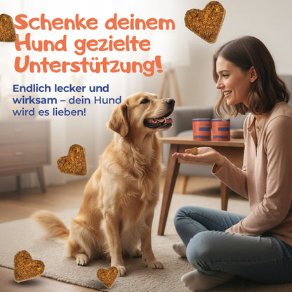 Hundebesitzerin gibt ihrem Golden Retriever einen Nutrilino GoodJump Hundesnack für Gelenke und Beweglichkeit. Natürliche Unterstützung mit Glucosamin, MSM, Kollagen und Hyaluronsäure für aktive Hunde. Glücklicher Golden Retriever erhält einen Nutrilino GoodJump Hundesnack zur Unterstützung von Gelenken, Knorpel und Beweglichkeit. Natürliche Rezeptur für aktive Hunde und Hundesenioren.